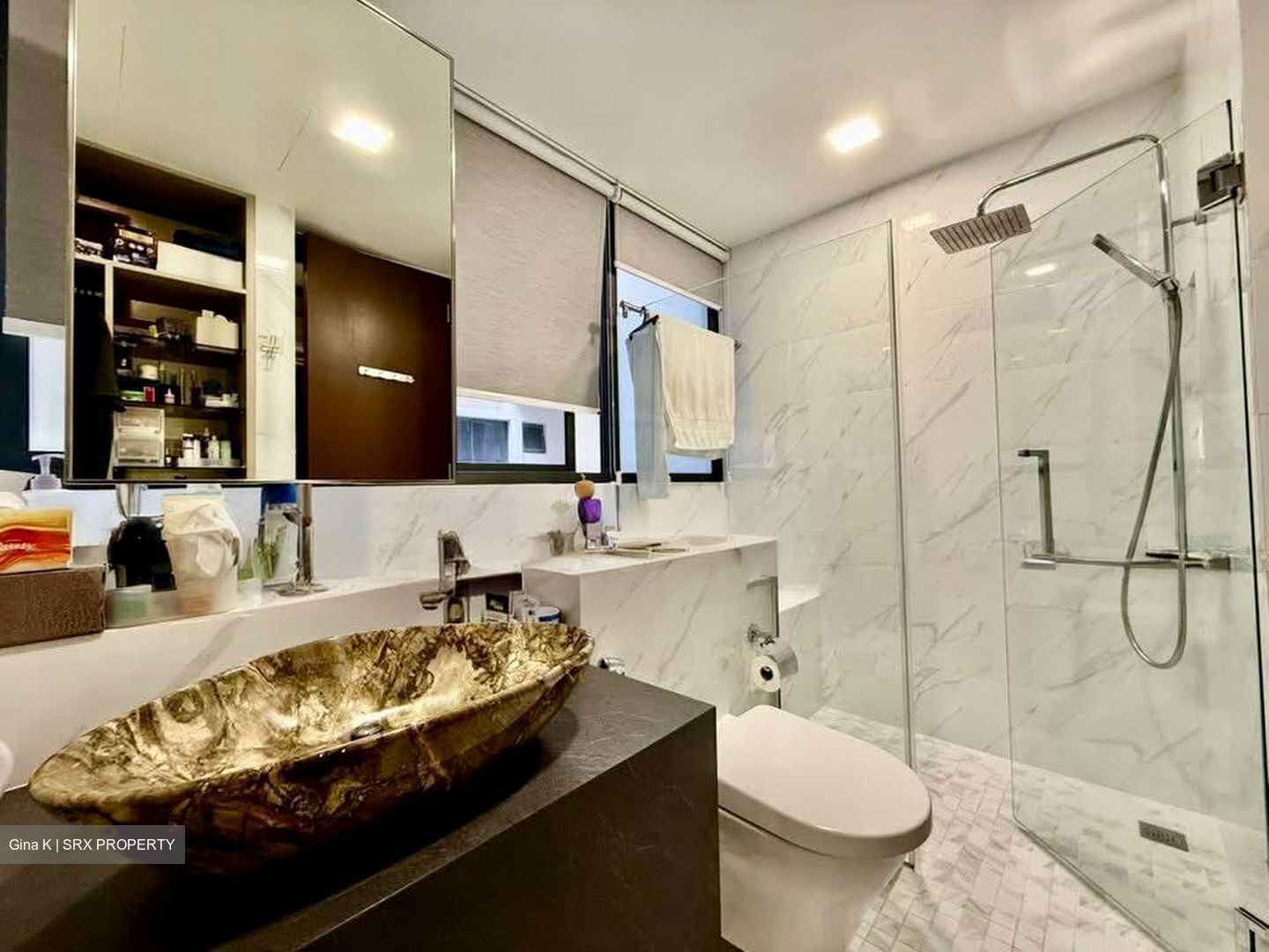 Terrene At Bukit Timah (D21), Condominium #614737641